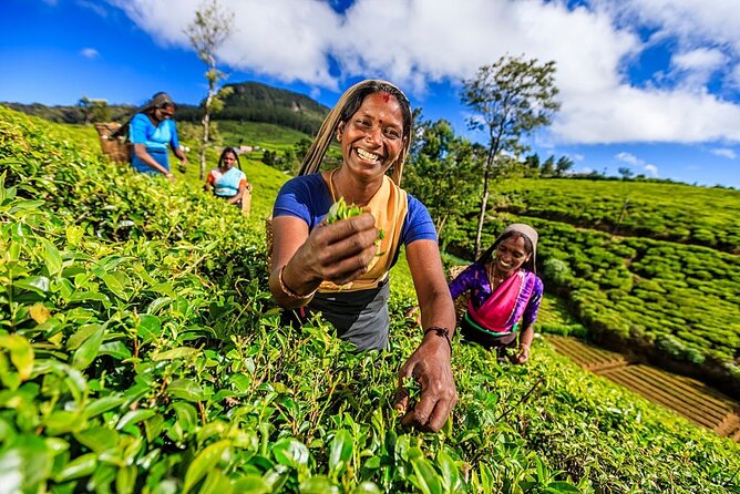 Sri Lanka Tour With Ceylon Travel Dream - Pricing Details