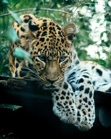 Sri Lanka Tours 12-DAY Transport, Guide, HB Accommodation - Good To Know