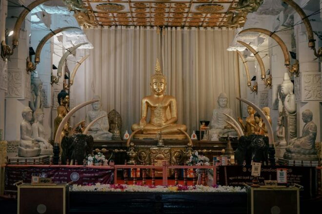 Sri Lanka Tours 12-DAY Transport, Guide, HB Accommodation - Accommodation and Meals