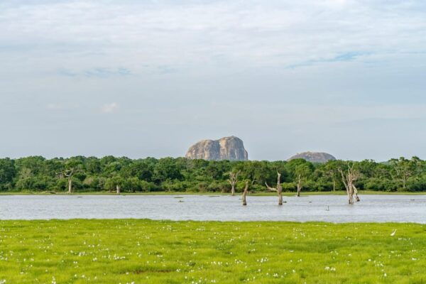 Sri Lanka Tours 12-DAY Transport, Guide, HB Accommodation - Important Travel Information