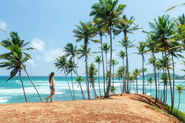 Sri Lanka Tours 12-DAY Transport, Guide, HB Accommodation - Booking and Cancellation Policy