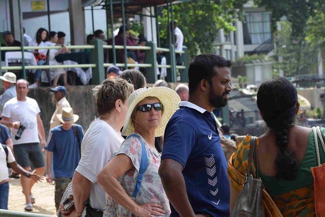 Sri Lanka Tours Package in 9 Days (Amazing Sri Lanka) - Transportation Information