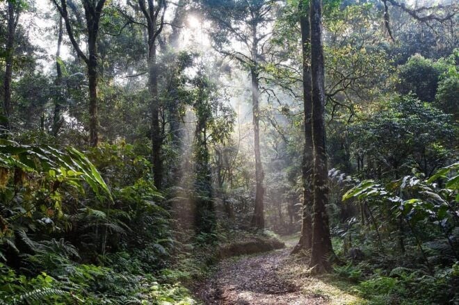 Sri Lanka Trekking, Hiking 5 Days Tour - Included Amenities