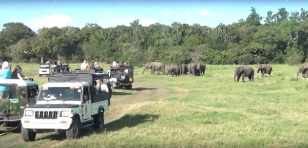 Sri Lanka: Two-Day Yala Wildlife Safari - Inclusions and Exclusions