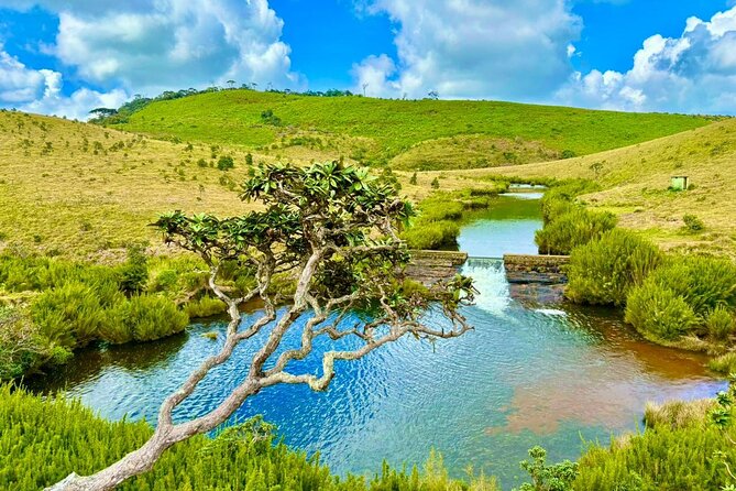 Sri Lanka Unveiled: 12 Nights Complete Experience Package - Logistics and Services