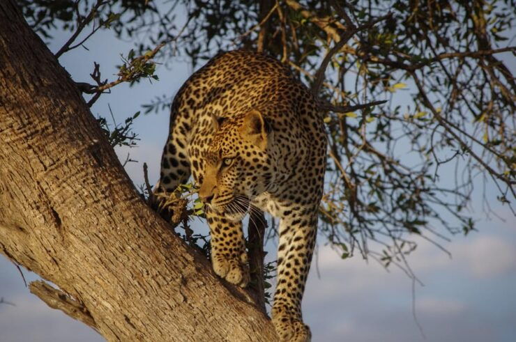 Sri Lanka: Wildlife and Beach - Itinerary Highlights