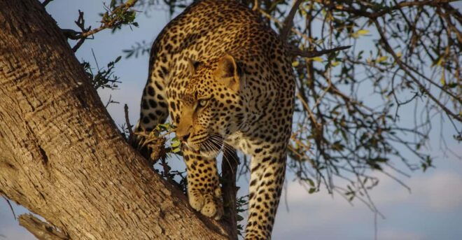 Sri Lanka: Wildlife and Beach - Inclusions and Exclusions