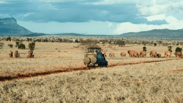Sri Lanka: Wildlife and Beach - Best Time to Visit