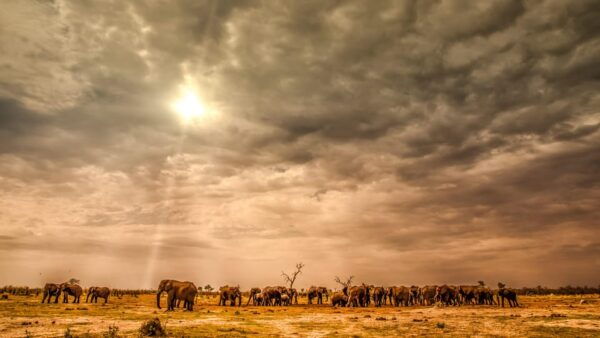 Sri Lanka: Wildlife and Beach - Sustainable Tourism in Sri Lanka