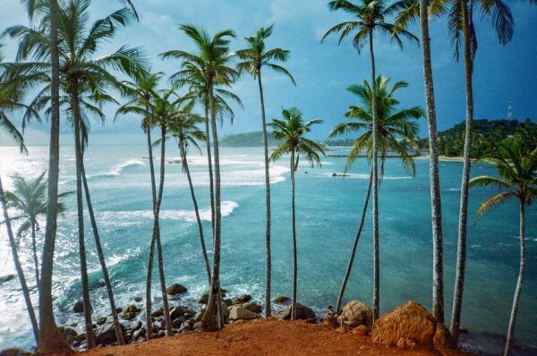 Sri Lanka Wildlife Galore 3-Nights Tour - Booking and Cancellation Policy