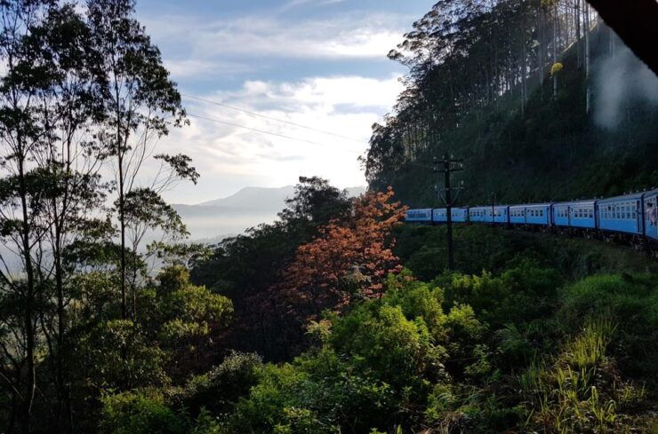 Sri Lanka: Wildlife Tour, Rainforest, National Park, - Pricing Details
