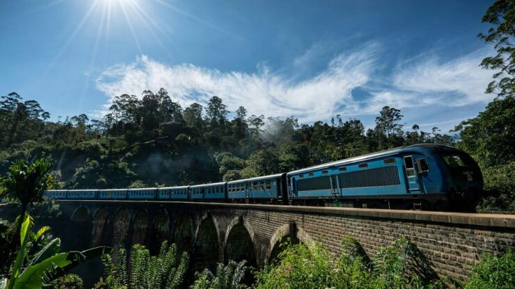 Sri Lanka: Wildlife Wonders of Sri Lanka 5 Day Tour - Daily Itinerary Highlights