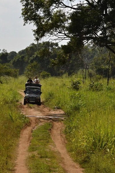 Sri Lanka: Wildlife Wonders of Sri Lanka 5 Day Tour - Booking and Cancellation Policy