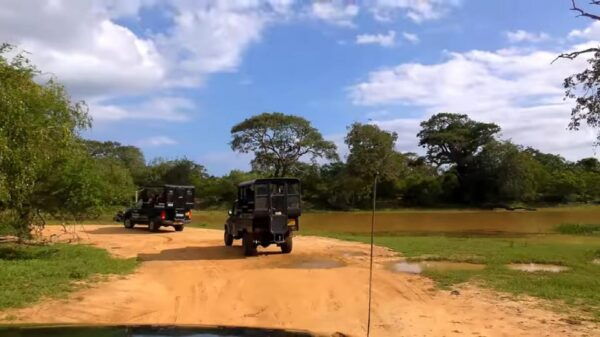 Sri Lanka: Wildlife Wonders of Sri Lanka 5 Day Tour - Frequently Asked Questions