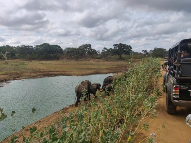Sri Lanka: Yala National Park Private Safari - Additional Information