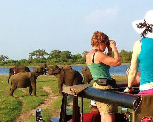 Sri Lanka Yala Safari and Galle Fort Private Day Tour - Turtle Beach brings the day down to sea level