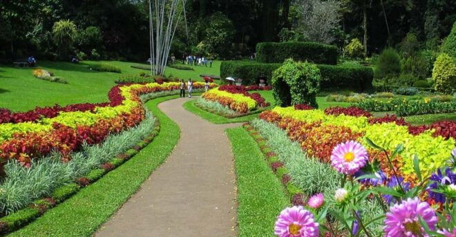 Sri Lanka:Hill Country With Ancient Cities - Adventure Activities