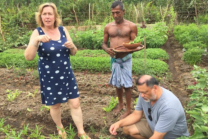 Sri Lankan Rice and Curry Cookery Demonstration—Galle - Explore a Farmers Garden for Fresh Ingredients