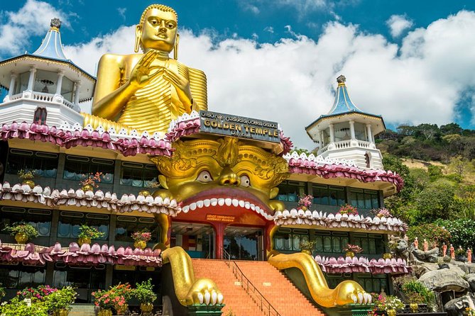 Sri Lankan Tourist Driver . - Review Information