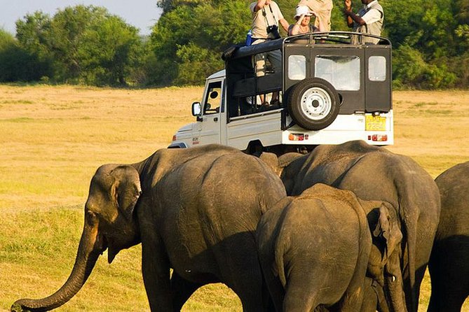 Sri Lankan Tourist Driver With Great Local Knowledge All Over the Country! - Start Time and Ticket Redemption