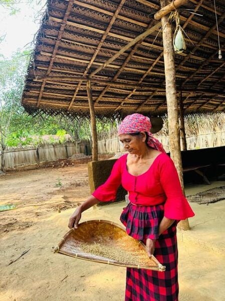 Sri Lankan Traditional Cooking Workshop & Meal at Udawalawa - Local Culture and Cuisine