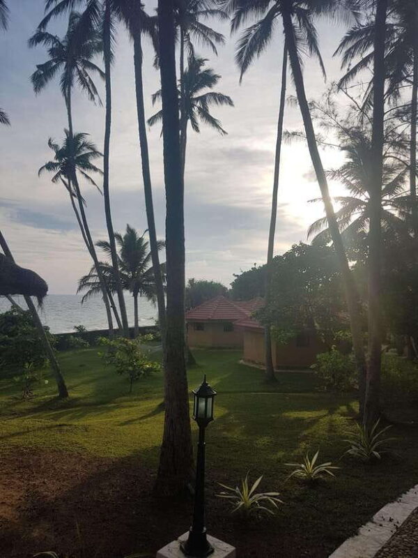 Sri Lanka's highlights: 12-day tour with temples, tea plantations and nature - Practical Tips & Considerations