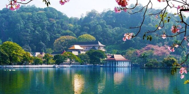 Sri Lnka, Kandy: Day Tour With Airport Transfer - Local Culture and Experiences