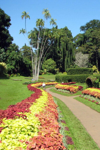 Sri Lnka, Kandy: Day Tour With Airport Transfer - Frequently Asked Questions