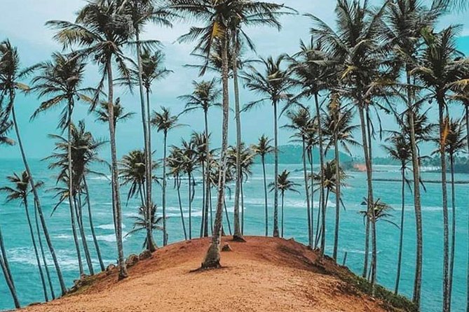 Srilanka 7 Days Classical Tour- Private Car (Can Customized) - Inclusions