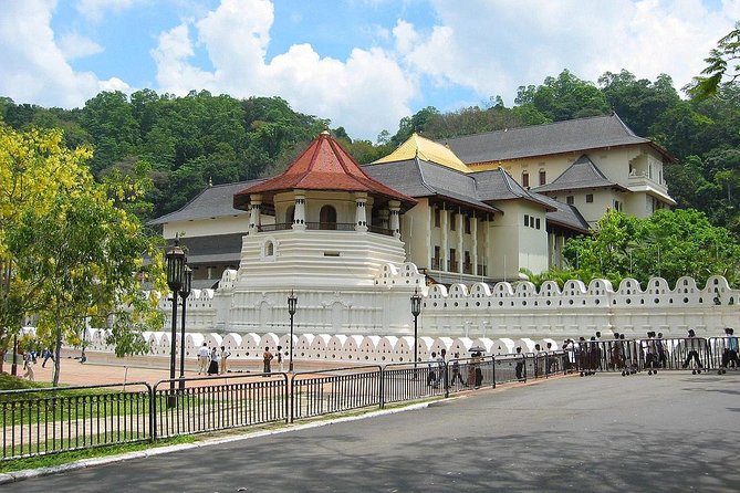 Srilanka 7 Days Classical Tour- Private Car (Can Customized) - Cancellation Policy