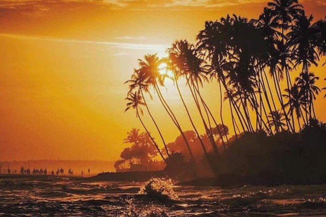 Srilanka 7 Days Classical Tour- Private Car (Can Customized) - Directions