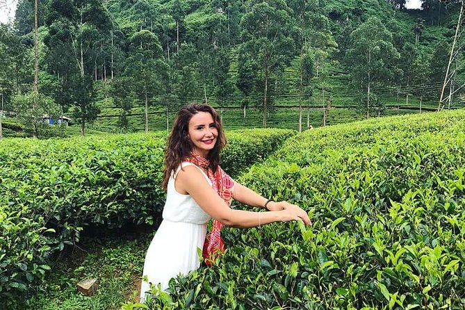 Srilanka 7 Days Classical Tour- Private Car (Can Customized) - Frequently Asked Questions