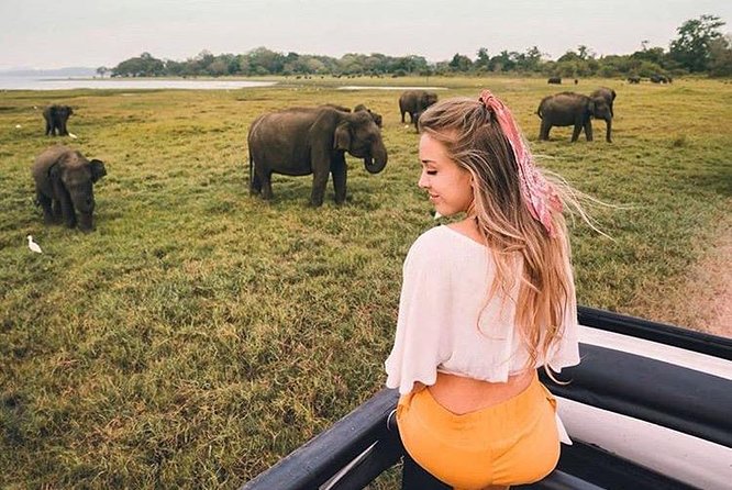 SriLanka Country Side Tour - Tour Highlights