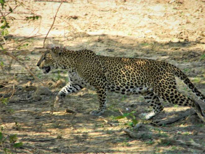 Srilanka - Discover Your Amazing Time With Expert Guide - Experience Highlights
