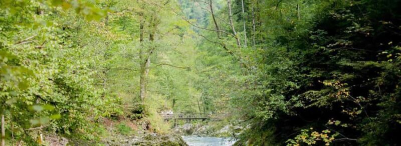 SriLanka: Kitulgala Day Tour with Airport Transfer - Practical Details and Tips