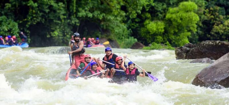 SriLanka: Kitulgala Day Tour with Airport Transfer - An In-Depth Look at the Kitulgala Day Tour