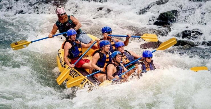Srilanka, Kitulgala: Day Tour With Airport Transfer - Good To Know