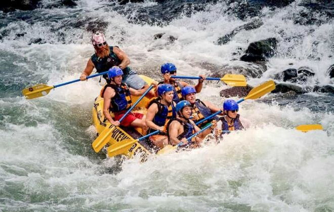 Srilanka, Kitulgala: Day Tour With Airport Transfer - Transportation Details
