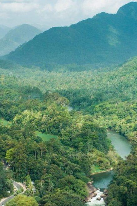 Srilanka, Kitulgala: Day Tour With Airport Transfer - Inclusions of the Tour