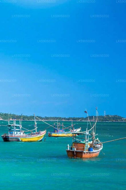 Srilanka, Negombo: Day Tour With Airport Transfer - Exclusions and Limitations
