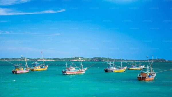 Srilanka, Negombo: Day Tour With Airport Transfer - Frequently Asked Questions