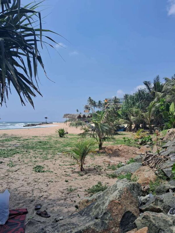 SriLanka Private Tour: 6Days 5Nights Adventure, Culture&more - Good To Know