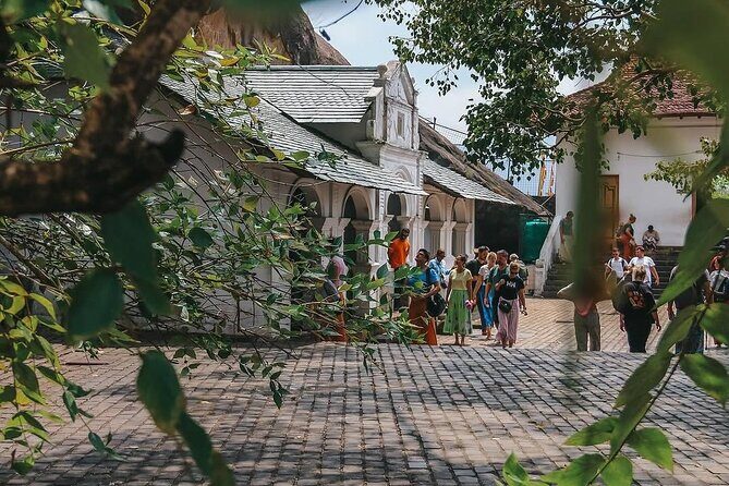 Srilankan Driver with Car 3 Day Tour Sigiriya,Kandy,Nuwaraeliya - FAQ