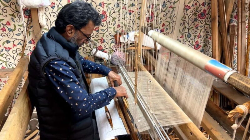 Srinagar: Cashmere Pashmina Craft Tour with Master Artisans - An In-Depth Look at the Pashmina Tour