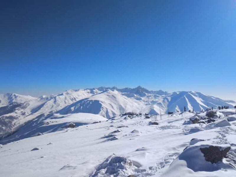 Srinagar: Gulmarg Day Tour - Explore the Meadow of Flowers - Who Should Consider This Tour?