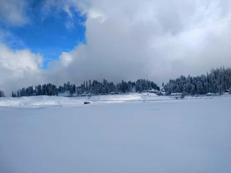 Srinagar: Gulmarg Day Tour - Explore the Meadow of Flowers - What Makes This Tour Stand Out