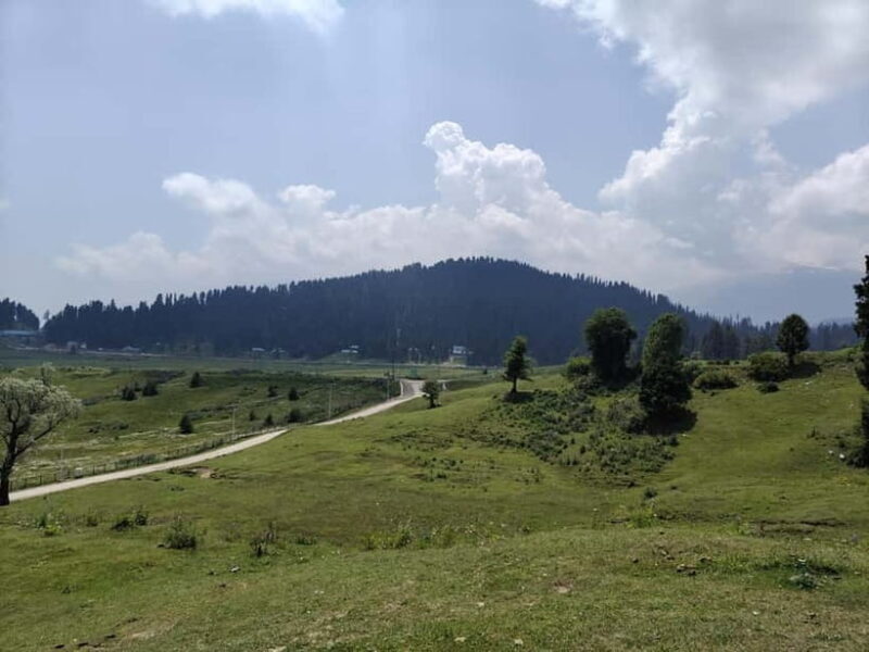 Srinagar: Gulmarg Day Tour - Explore the Meadow of Flowers - Who Will Love This Tour?