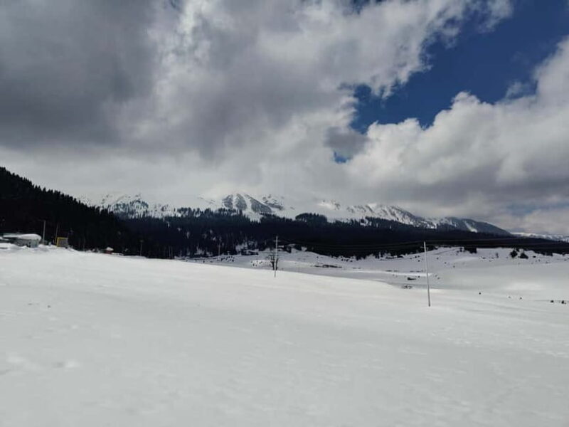 Srinagar: Gulmarg Day Tour - Explore the Meadow of Flowers - Practical Tips