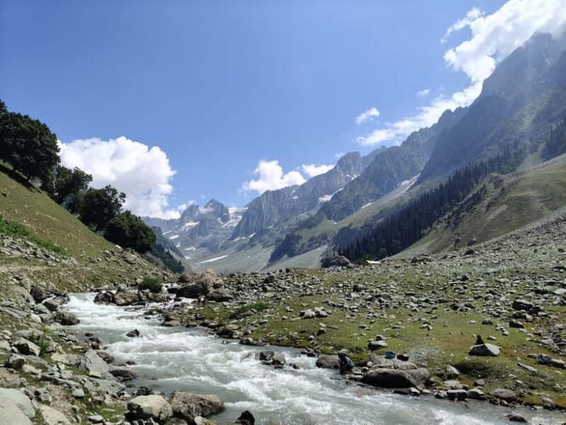 Srinagar: Sonamarg Day Tour - The Golden Meadow Adventure - Scenic Drive and Passes