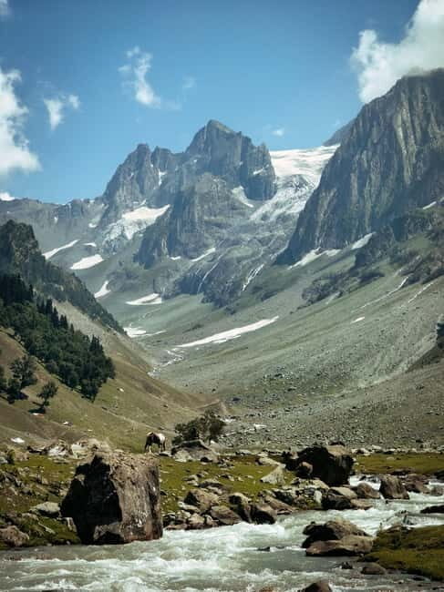 Srinagar: Sonamarg Day Tour - The Golden Meadow Adventure - Authentic Reviews: Real Perspectives